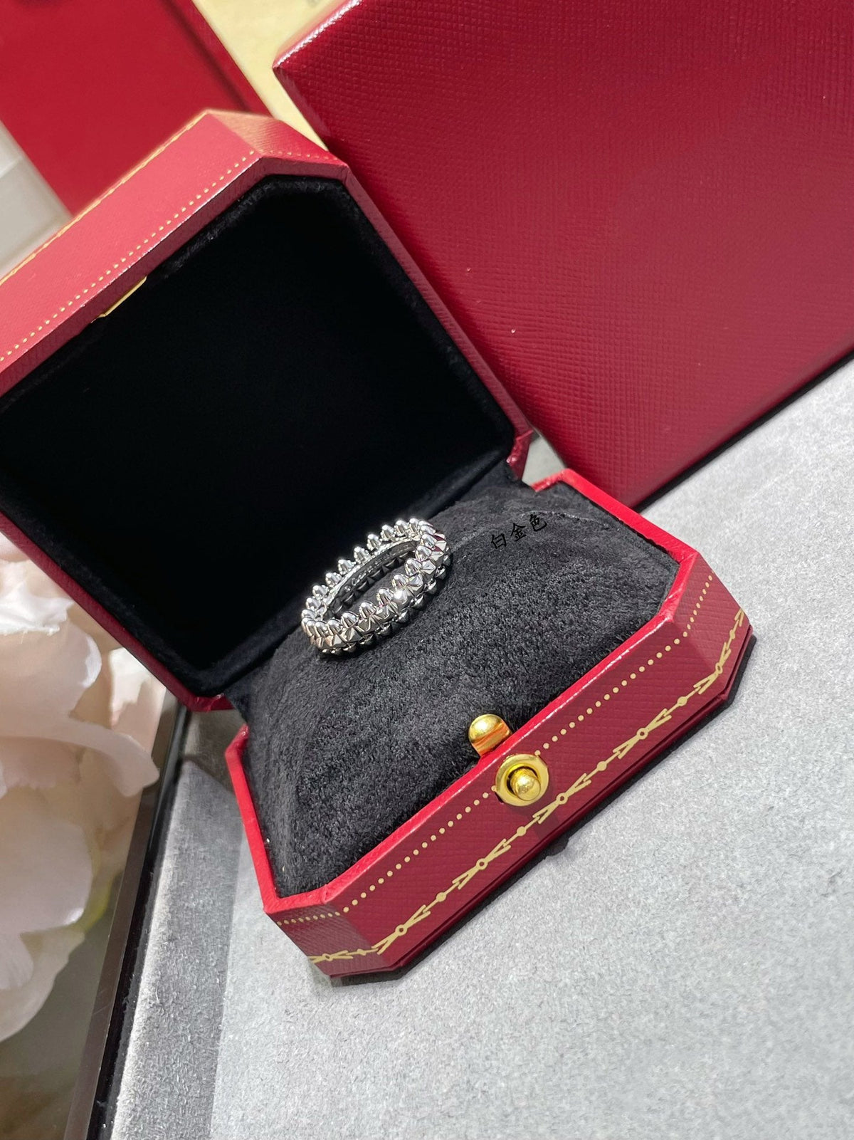 [Super CiCi ]CLASH 5.5MM RING